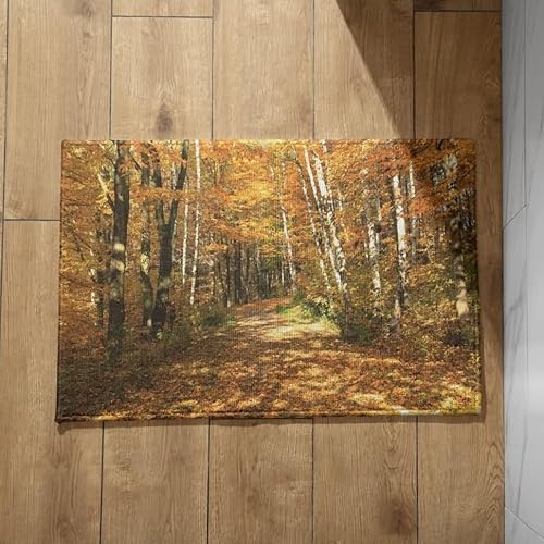 EHOMERY Fußmatte Für Den Außenbereich Fussmatte Aussen Lustig Groß Herbstliche Ahornblätter Fußmatte Innen Lustiger Spruch Fussmatte Aussen Bunt Gross 45x75cm, EHOMERY Fußmatte Für Den Außenbereich Fussmatte Aussen Lustig Groß Herbstliche Ahornblätter Fußmatte Innen Lustiger Spruch Fussmatte Aussen Bunt Gross 45x75cm, von EHOMERY