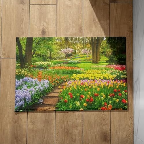 EHOMERY Fußmatte Personalisiert Türmatte Außen Garten Fußmatte Balkon Sauberlaufmatte Extra Dünn 50x80cm, rutschfeste Dekorative Fußmatte Aus Plüschbaumwolle von EHOMERY