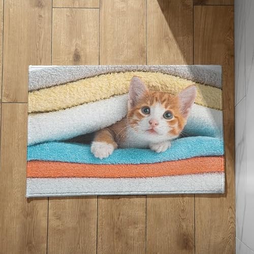 EHOMERY Fußmatte XXL Innen Türmatte Katze Schmutzfangmatte Terrassentür Sehr Dünne Sauberlaufmatte 50x80cm, rutschfeste Dekorative Fußmatte Aus Plüschbaumwolle von EHOMERY