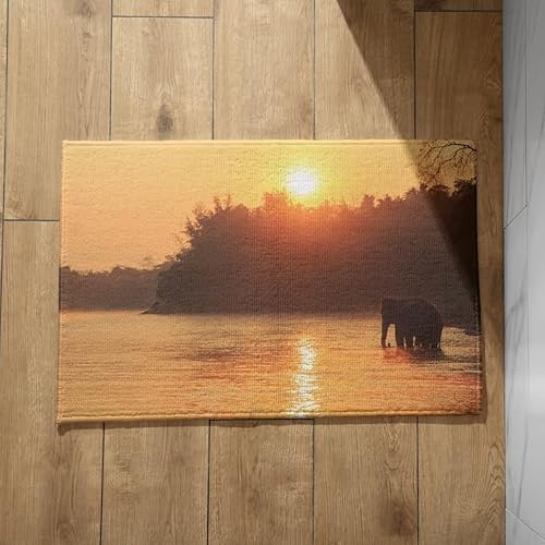 EHOMERY Schmutzfangmatte Design Fussmatten Haustür Innen Elefant Antirutsch- und Schmutzfangmatte Fussmatte Lustig Innen 40x60cm, von EHOMERY