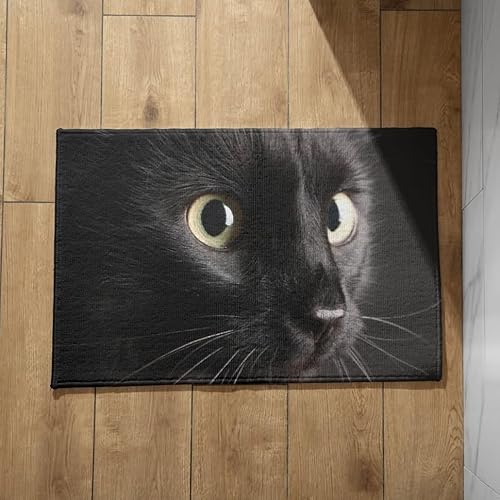 EHOMERY Schmutzfangmatte Innen Waschbar Bunt Fussmatte Innen Personalisiert Schwarze Katze Schmutzfangmatte Extra Dünn Innen Fussmatte Waschbar 40x60cm, von EHOMERY