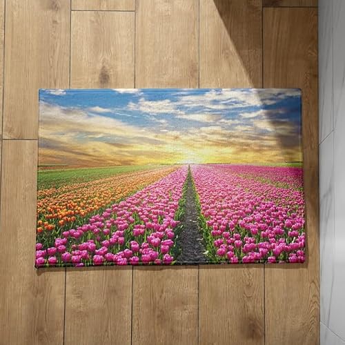 EHOMERY Schmutzfangmatte Schöner Wohnen Türmatte Zuhause Natürliche Landschaft Fußmatte Außen Spruch Lustig Sauberlaufmatte Dünn 40x60cm, von EHOMERY