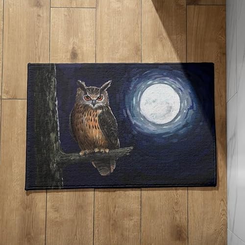 EHOMERY Schmutzfangmatte Sky Türvorleger Für Innen und Außen rutschfest Sauberlaufmatte Design Eule Fußmatte Outdoor XXL Türmatten 45x75cm, von EHOMERY