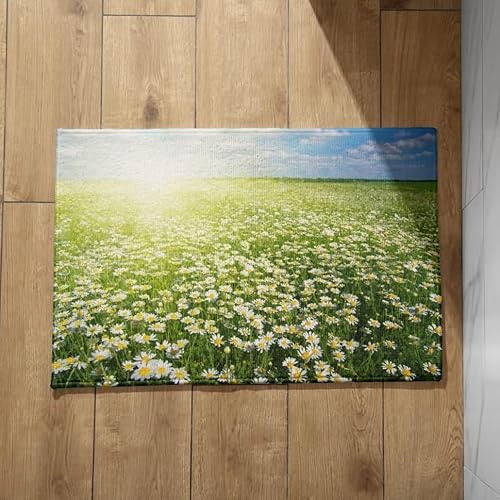 EHOMERY Schmutzfangmatte XXL Türmatten Haustür Innen Blume Schmutzfangmatte Nass Schmale Türmatte Für Außen 40x60cm, rutschfeste Dekorative Fußmatte Aus Plüschbaumwolle von EHOMERY