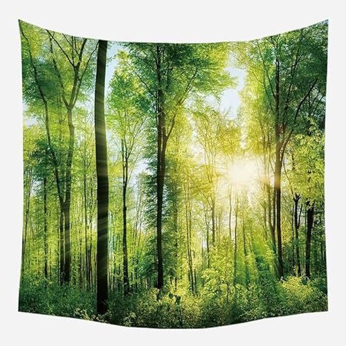 EHOMERY Wandteppich Asiatisch Wanddekoration Groß Grün Wald Naturlandschaft Wandbehang Wanddekoration Fotos Wandschmuck Schlafzimmer Wohnzimmer 150X150Cm von EHOMERY