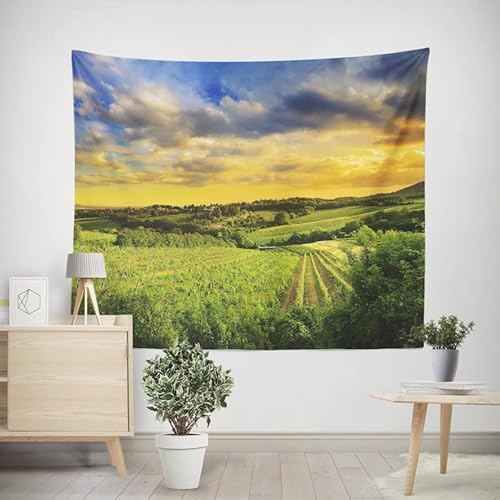 EHOMERY Wandteppich Frau Tapisserie Kit Wiese Wandteppich für Schlafzimmer Kleine Wanddekoration Wohnzimmer Schlafzimmer Wandbehang Dekoration 240x220cm von EHOMERY