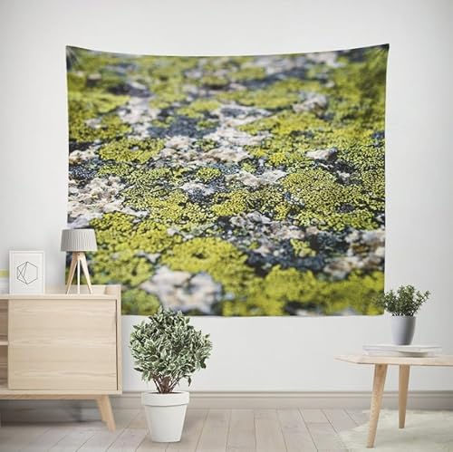 EHOMERY Wandteppich Industrial Wandtuch Vorhang Moos Wandbehang Junge Multicolored Wandtuch Wohnzimmer Schlafzimmer Wandbehang Dekoration 200x150cm von EHOMERY