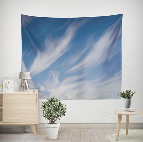 EHOMERY Wandteppich Modern Wanddecke Küche Himmel Wandteppich Funny Wandtuch Neuheit Wohnzimmer Schlafzimmer Wandbehang Dekoration 150x130cm von EHOMERY