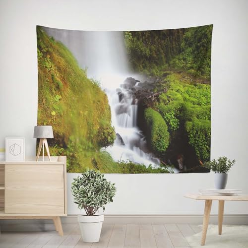 EHOMERY Wandteppich Wandbehang Wandtuch Oneline Katze Wandbehang Uni Wanddecke Tumblr Wohnzimmer Schlafzimmer Wandbehang Dekoration 350x250cm von EHOMERY