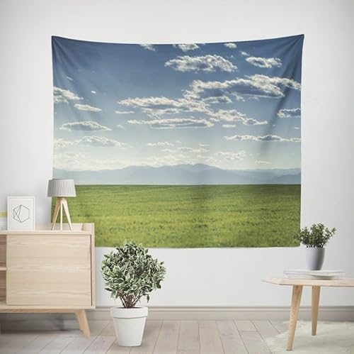 EHOMERY Wandteppich Wanddekoration Gamingzimmer Wiese Wandteppich Aesthetic Wanddekoration XL Wohnzimmer Schlafzimmer Wandbehang Dekoration 350x250cm von EHOMERY