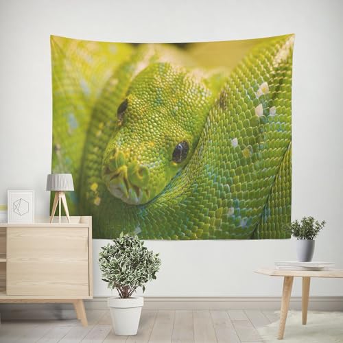 EHOMERY Wandteppiche Wandbehang Wanddekoration Kinderzimmer Mädchen Schlange Wandbehang Aussen Wanddekoration Restaurant Wohnzimmer Schlafzimmer Wandbehang Dekoration 100x70cm von EHOMERY