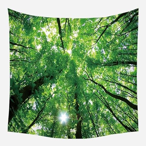 EHOMERY XL Wandteppich Tapisserie Weihnachten Grün Wald Naturlandschaft Wandteppich Mädchen Teenager Funny Wandbehang Deko Wandschmuck Groß Schlafzimmer Wohnzimmer Wanddekoration 130X150Cm von EHOMERY