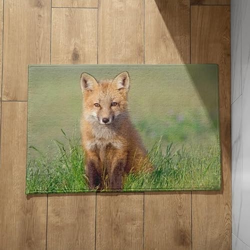 EHOMERY rutschfeste Fußmatte Außen Sauberlaufmatte Baumwolle Fuchs rutschfeste Fußmatte Badezier Fussmatte Innen Waschbar Bunt 50x80cm, von EHOMERY