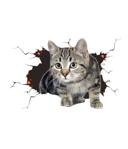 3D Katze Autoaufkleber Niedliche Katze Dekorationen Benutzerdefinierte Auto Stoßstange Aufkleber Autodekorationsaufkleber Lustiger Dekorativer Kätzchenaufkleber Automodellierungsaufkleber 3D Katze Autoaufkleber Niedliche Katze Dekorationen Benutzerdefinierte Auto Stoßstange Aufkleber Autodekorationsaufkleber Lustiger Dekorativer Kätzchenaufkleber Automodellierungsaufkleber von EHOTER