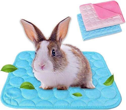 Haustier Kühlmatte Kühldecke Selbstkühlend Waschbar Sommer Eismatte Bett Atmungsaktiv Kühlpad Kühlkissen für Kleine Haustiere Welpe Meerschweinchen Hamster Kaninchen Hamster Katze (Blau+Pink) Haustier Kühlmatte Kühldecke Selbstkühlend Waschbar Sommer Eismatte Bett Atmungsaktiv Kühlpad Kühlkissen für Kleine Haustiere Welpe Meerschweinchen Hamster Kaninchen Hamster Katze (Blau+Pink) von EHOTER