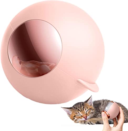 Tragbarer Fusselroller Fusselentferner Ball Tragbarer Mini Reise Flusenroller Reisen Klebriger Gel Travel Lint Roller Mini Linser Rollers für Kleidung Möbel (Rosa) von EHOTER