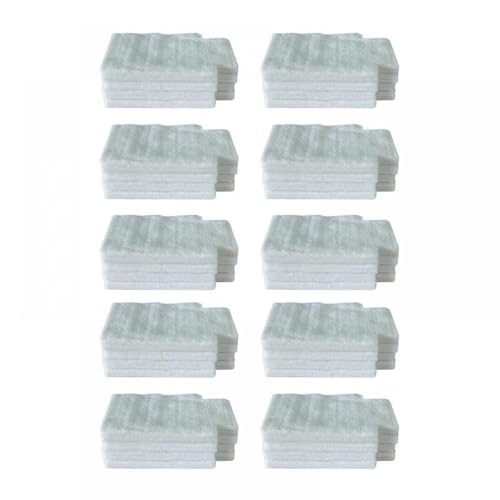 DE100 Wartungstank-Chip und Abfallkissen kompatibel mit Fuji Frontier DE-100 Druckerabfall-Tintenkollektor Chip Resetzer Sponge-Sponge-Kissen Kompatibel mit den Druckerwartung(DE100 Chip 10pcs) von EHxCUF