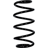 Eibach Originalfeder R10042 Eibach Originalfeder R10042 von EIBACH