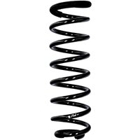 Eibach Originalfeder R10046 von EIBACH