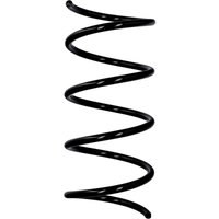 Eibach Originalfeder R10065 Eibach Originalfeder R10065 von EIBACH