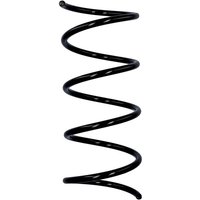 Eibach Originalfeder R10066 Eibach Originalfeder R10066 von EIBACH