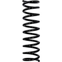 Eibach Originalfeder R10625 Eibach Originalfeder R10625 von EIBACH