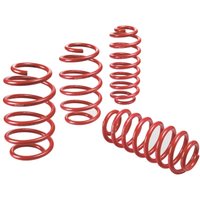 Eibach Sportline Sportfedern E20750010120 Eibach Sportline Sportfedern E20750010120 von EIBACH