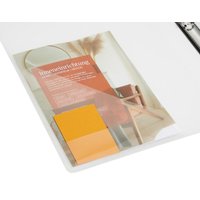 EICHNER Präsentationsringbuch 4-Ringe DIN A4 2.5 cm grau-transparent von EICHNER