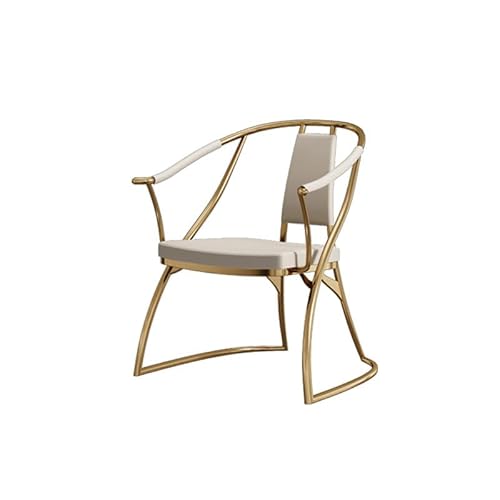 EINES Schreibtischstuhl Schreibtisch Teetisch Stuhl Wohnzimmer Home Edelstahl Rückenlehne Sessel Moderner Teestube Stuhl Spielstuhl EINES Schreibtischstuhl Schreibtisch Teetisch Stuhl Wohnzimmer Home Edelstahl Rückenlehne Sessel Moderner Teestube Stuhl Spielstuhl von EINES