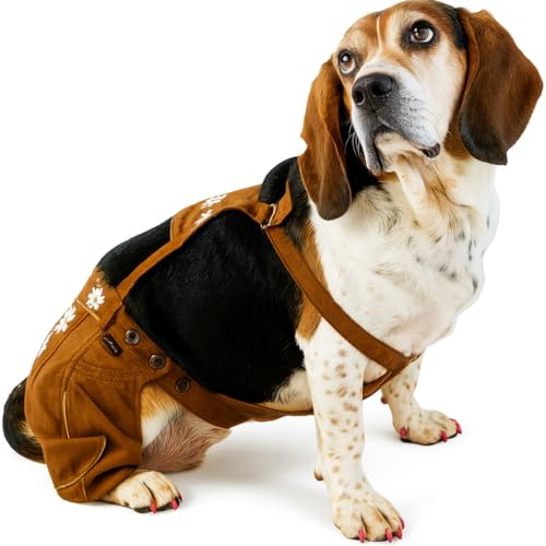EINSZWEIDOG Oktoberfest Lederhosen Deutscher Schäferhund, Mehrere Größen, L, Braun EINSZWEIDOG Oktoberfest Lederhosen Deutscher Schäferhund, Mehrere Größen, L, Braun von EINSZWEIDOG