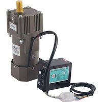 Ac 220V 90W Motor mit einstellbarer Drehzahl Stufenlos regelbarer Frequenzumrichtermotor mit Getrieberegler und Halterung (5K) von EJ.LIFE