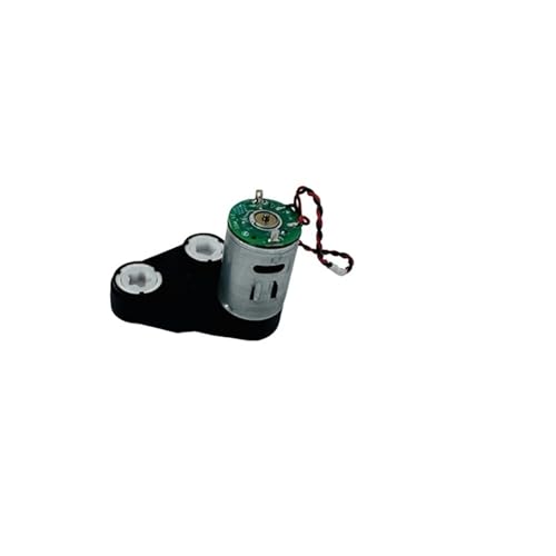 Doppelrollenbürste, Hauptbürstenmotor, Rotationsmotor, Kehrmaschinen-Ersatzteilzubehör, Kompatibel Mit Roborock, P10S Pro/G20 von EJBELVLLV