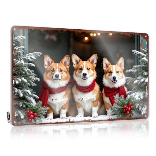 EJXN Tin Bar Signs Christmas Corgis: A Festive Trio in Red Scarves Blechschild Wandschilder Schilder für Garage (30 x 40 cm) von EJXN