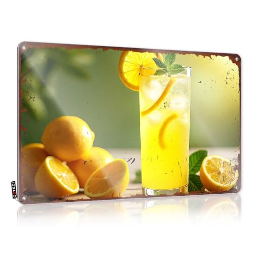 Schlafzimmertür-Dekoration, frisch gepresste Limonade mit Minze und Eis, Blechschild, Bierdekoration, Zimmertür-Dekoration (30 x 40 cm) von EJXN