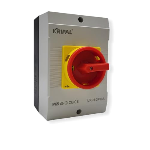 EKABEL24 Hauptschalter mit Gehäuse und Not-Aus-Funktion | Zuverlässiger Schutzschalter für Elektroinstallationen, Wechselschalter | Aufputz Schalter | 63A 4-polig von EKABEL24.DE