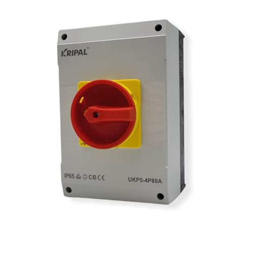 EKABEL24 Hauptschalter mit Gehäuse und Not-Aus-Funktion | Zuverlässiger Schutzschalter für Elektroinstallationen, Wechselschalter | Aufputz Schalter | 80A 4-polig von EKABEL24.DE