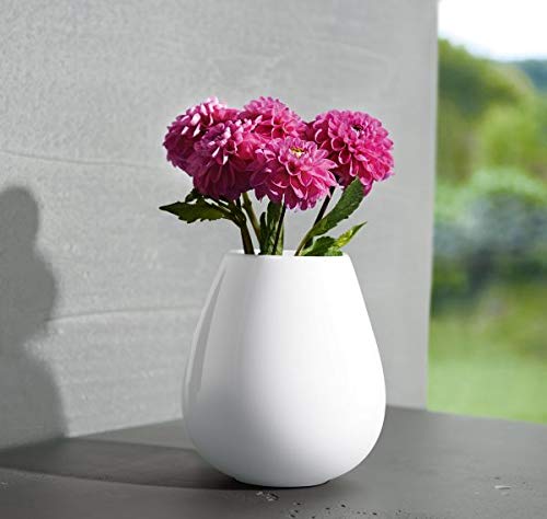 ASA Vase, weiß Ease D. 9 cm, H. 18 cm 91033005 ! Vorteilsset beinhaltet 2 x den genannten Artikel und Set mit 4 EKM Living Edelstahl Strohhalme von EKM Living