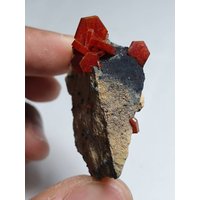 Hochwertiger Vanadinit Kristall Auf Schwarzer Mangan Matrix Hochwertiger Vanadinit Kristall Auf Schwarzer Mangan Matrix von EKMineralsHaven