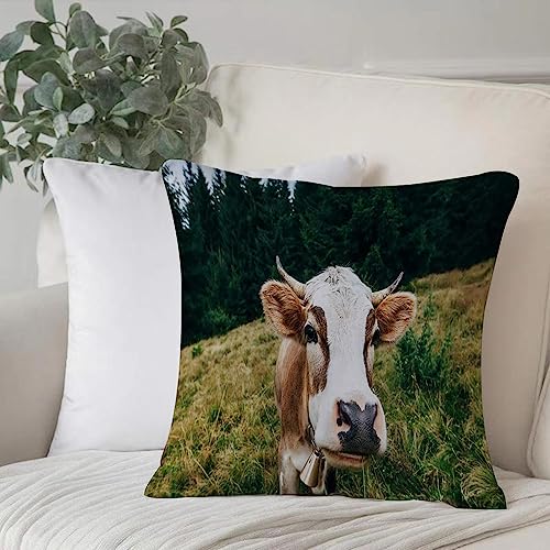 EKSED Dekorativ Kissenbezüge 50x50 cm,Lustige Kuh auf Einer Wiese im Wald,Kissenbezug Weicher Polyester Kissenhülle Set Kissen Fall für Sofa Auto Schlafzimmer Zuhause Zierkissenbezüge von EKSED