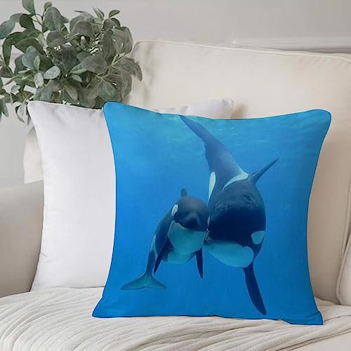 EKSED Dekorativ Kissenbezüge 50x50 cm,Orca Killerwale,Kissenbezug Weicher Polyester Kissenhülle Set Kissen Fall für Sofa Auto Schlafzimmer Zuhause Zierkissenbezüge von EKSED