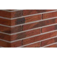 ELABRICK Verblender »Elabrick«, Eckverblender Gdansk 40x100/290 mm - 2m¹ - rot von ELABRICK