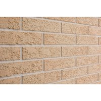 ELABRICK Verblender Napoli 50x210mm, Paketinhalt: 1m² ELABRICK Verblender Napoli 50x210mm, Paketinhalt: 1m² von ELABRICK