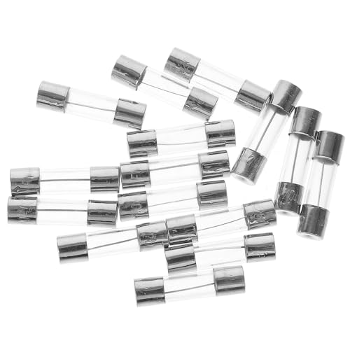 ELAYARD 100 Stück Glassicherung Schnell Schmelzend Glasrohrsicherung mit Kupferkappen für Elektrische Geräte Weihnachtsbeleuchtung Schutz von ELAYARD
