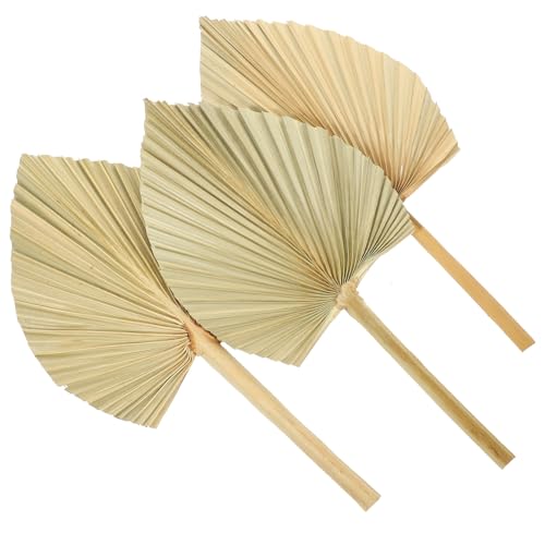ELAYARD 3 Stück Getrocknete Palmwedel Natürliche Dekoration für Tischdeko Hochzeit Party Wandkunst Tropische Deko Vielseitig Einsetzbar für Raum Fensterarrangements ELAYARD 3 Stück Getrocknete Palmwedel Natürliche Dekoration für Tischdeko Hochzeit Party Wandkunst Tropische Deko Vielseitig Einsetzbar für Raum Fensterarrangements von ELAYARD