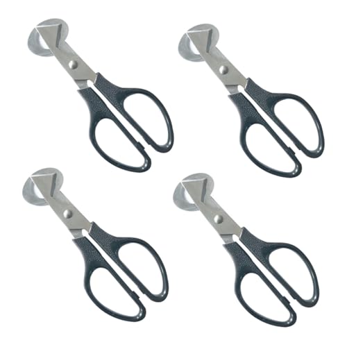 ELAYARD 4 Stück Wachteleier Schere Teilig Edelstahl Küchenwerkzeug mit Kunststoffgriff Schneller Eierschneider und Separator für Wachteleier Taubeneier und Kleine Eier für Haushalt und ELAYARD 4 Stück Wachteleier Schere Teilig Edelstahl Küchenwerkzeug mit Kunststoffgriff Schneller Eierschneider und Separator für Wachteleier Taubeneier und Kleine Eier für Haushalt und von ELAYARD