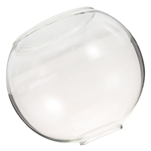 ELAYARD Glas Lampenschirm Kugelform Ømm Transparent Doppelöffnung Pendelleuchte Ersatzglas Moderner Lampenschirm für Wohnzimmer Küche Schlafzimmer Einfache Montage von ELAYARD