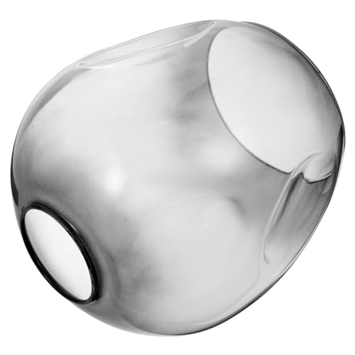 ELAYARD Transparenter Glas Lampenschirm Mittelloch Dekorativer Lampenschirm für Kronleuchter und Wandleuchten Hochwertiger Lichtschutz Geeignet für Schlafzimmer und Wohnräume von ELAYARD