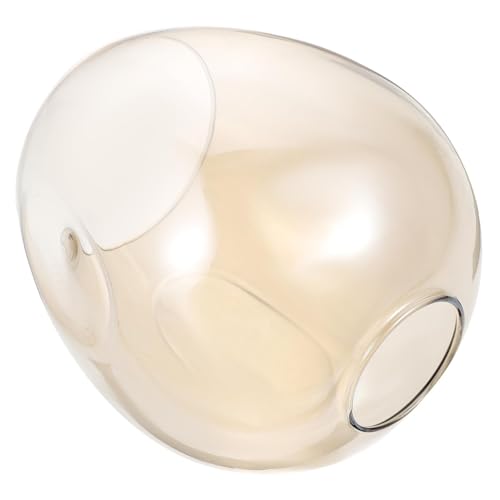 ELAYARD Transparenter Glas Lampenschirm Mittelloch Europäischer Stil Elegante Decken und Wandleuchte Lampenabdeckung für Schlafzimmer Wohnzimmer Ersatzglas Lampenschirme von ELAYARD