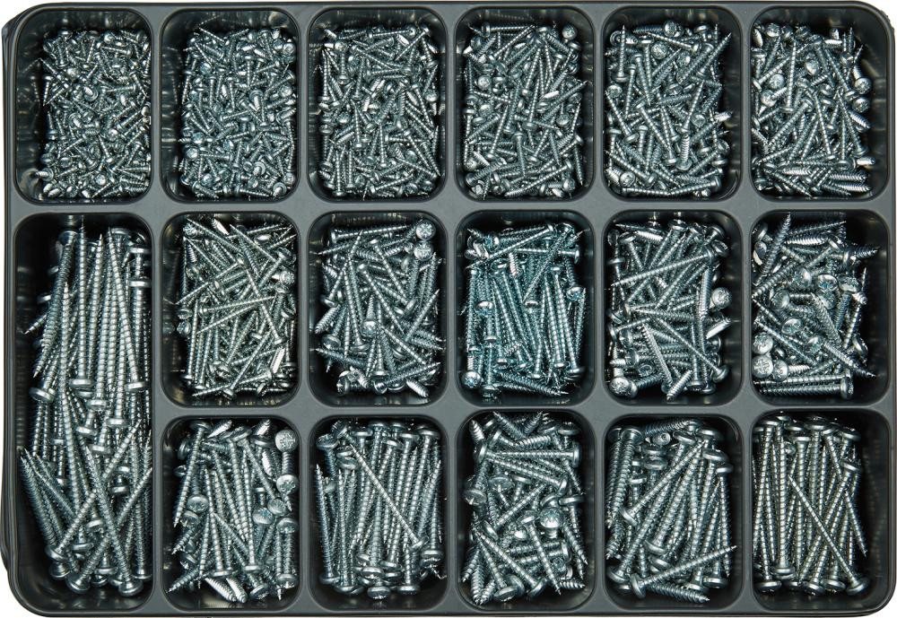 ELC Schrauben-Set E-NORMpro Montagekoffer 3 SPS PanHead zn blau PZD von ELC