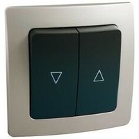 Doppelter versenkter Drucktaster silber/grau von ELECTRO DH